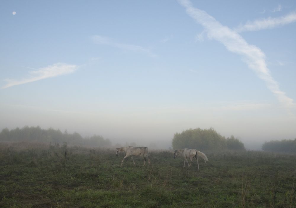 Photograph by Илюшечкина Екатерина