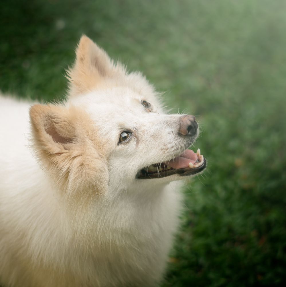 Photograph by Sameera Madusanka