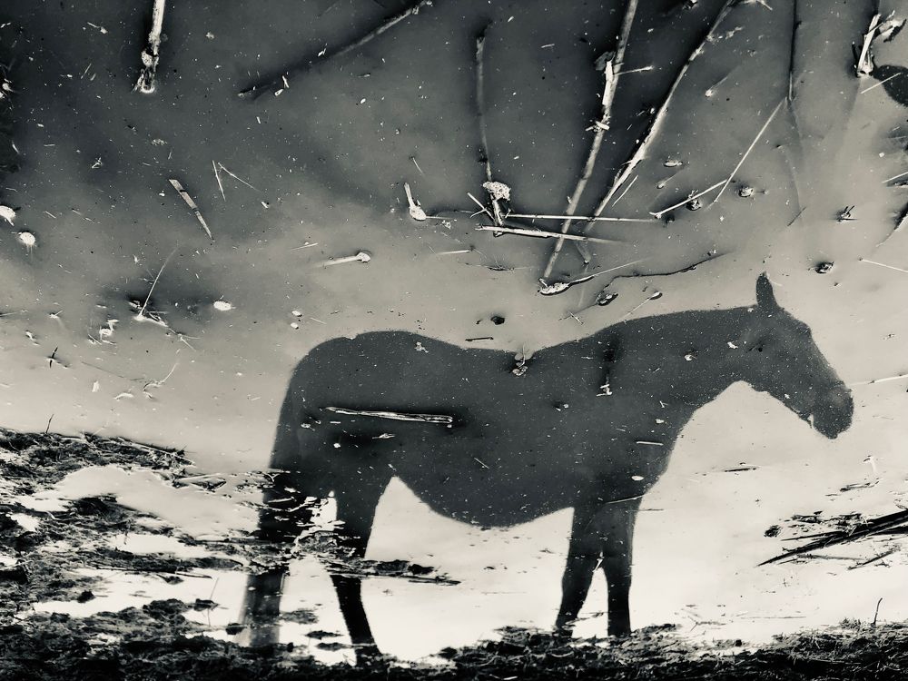 Photograph by Юлия Дудкова