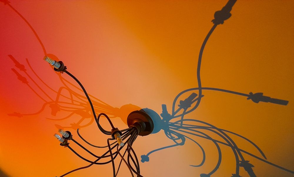 Photograph by Зураб Бабаев