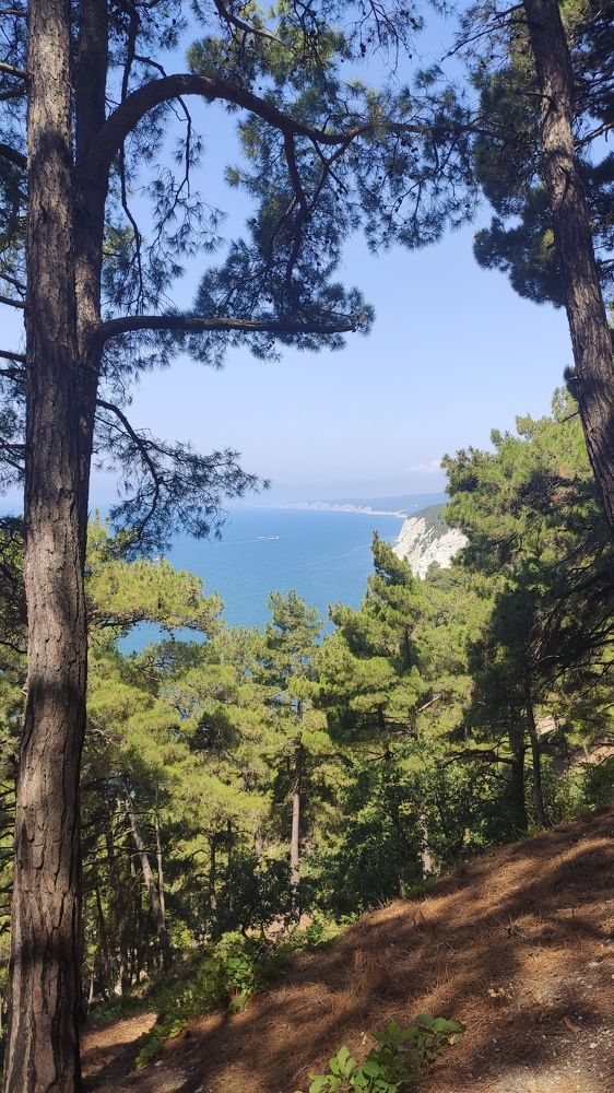 Photograph by Марина Серых