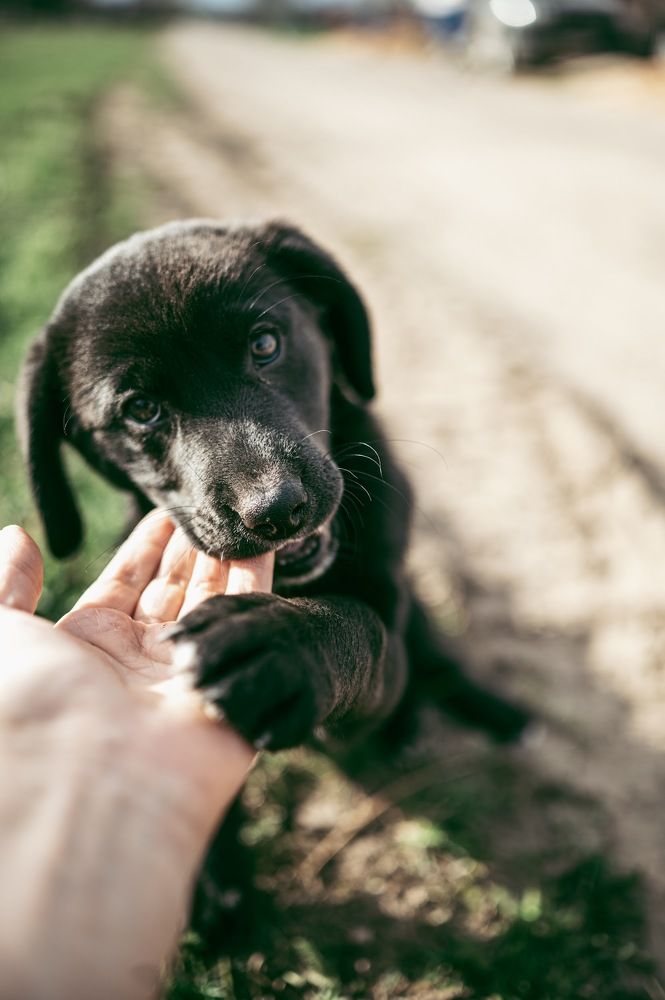 Photograph by Анастасия Амраева