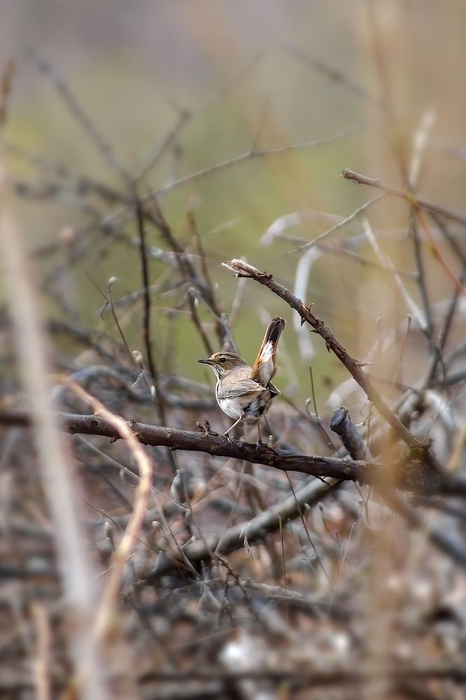 Photograph by Александр Соловьев