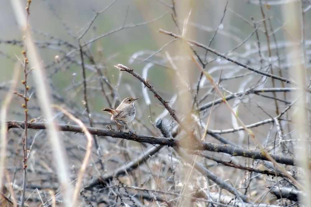 Photograph by Александр Соловьев