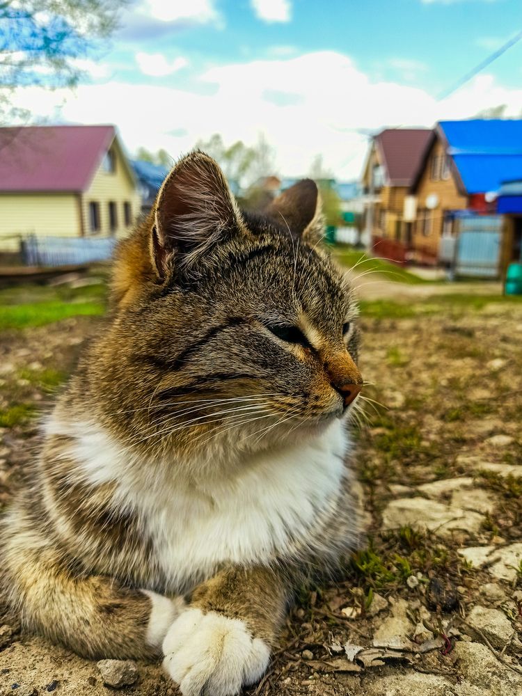 Photograph by Алина Зарифянова
