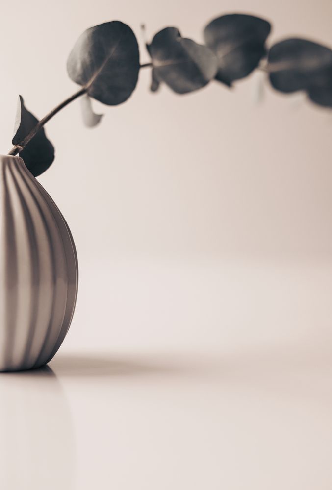 Фотография автора Олеся