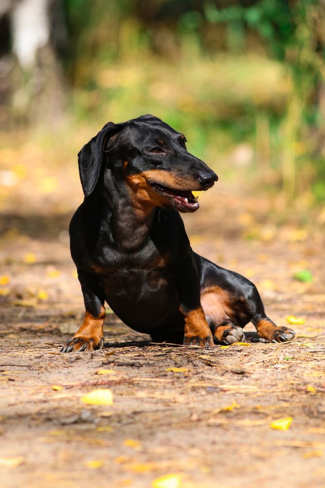 Photograph by Дмитрий Тимин