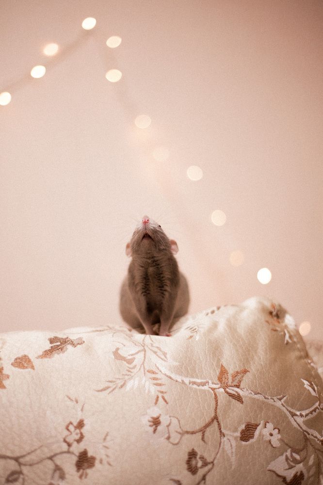 Photograph by Александра Нивина