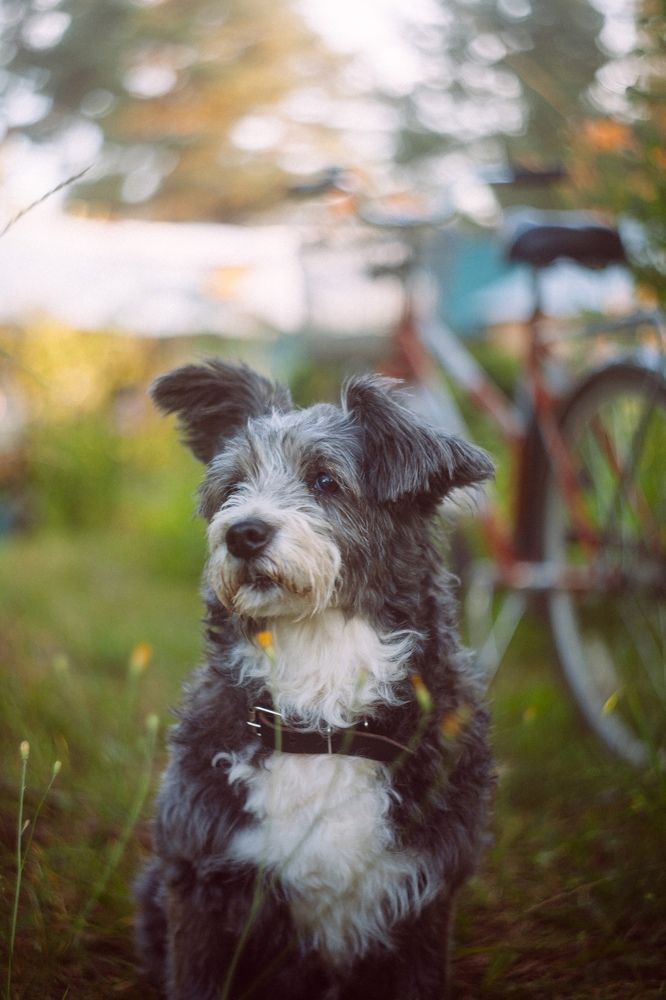 Photograph by Александра Нивина