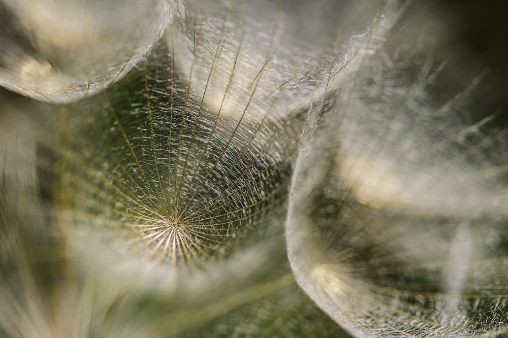 Photograph by Татьяна Колногоров