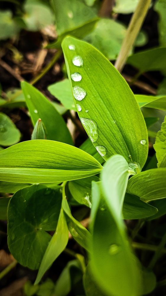 Photograph by Карина Дудатьева