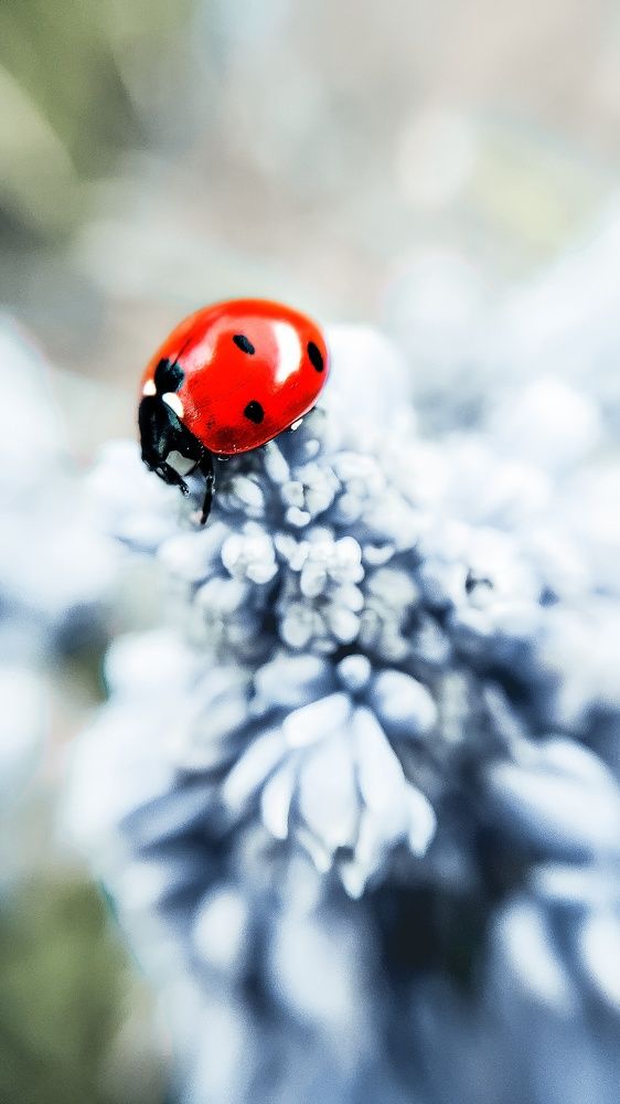 Photograph by Ирина Панкова