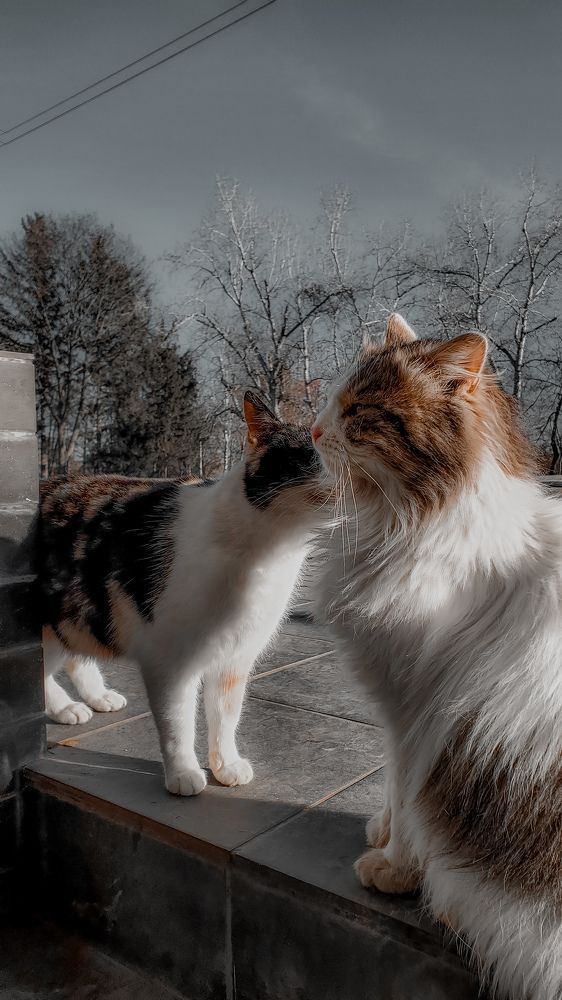 Photograph by Ирина Панкова