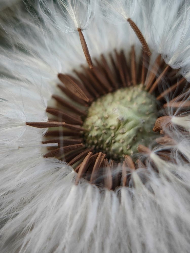 Фотография автора Amrita Singh