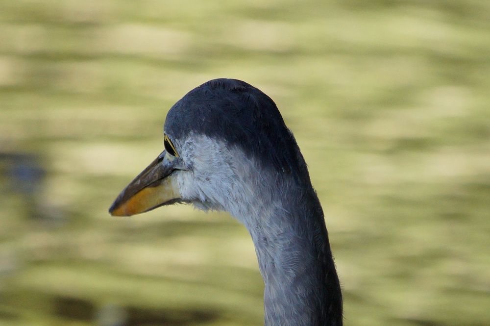 Photograph by Ken Oliver