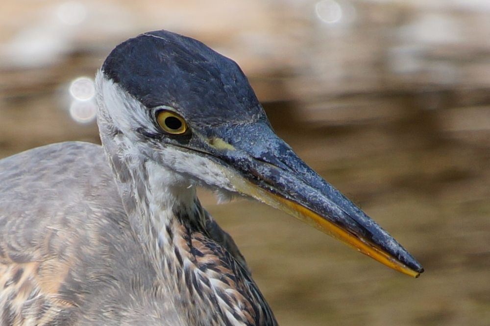 Photograph by Ken Oliver