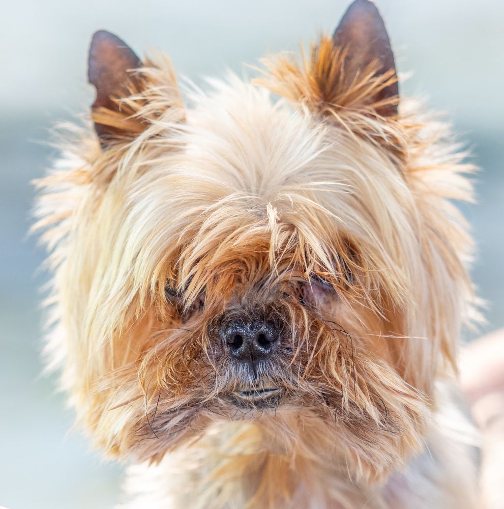 Photograph by Курлянцев Алексей