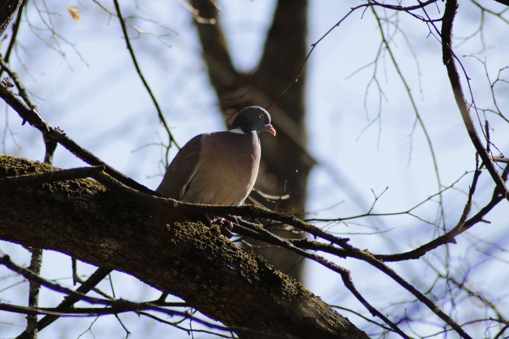 Photograph by Александр Заруцкий