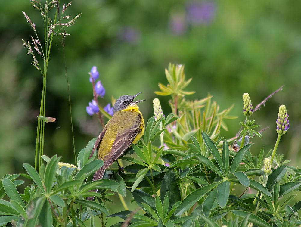 Photograph by Феденкова Татьяна