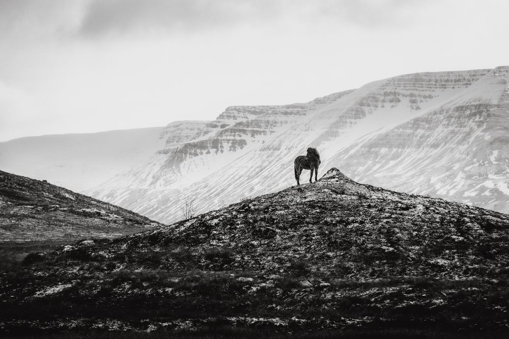 Фотография автора Coralie Mänche