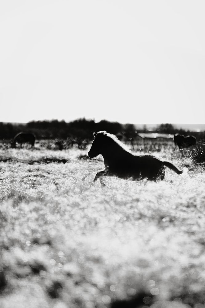 Фотография автора Coralie Mänche