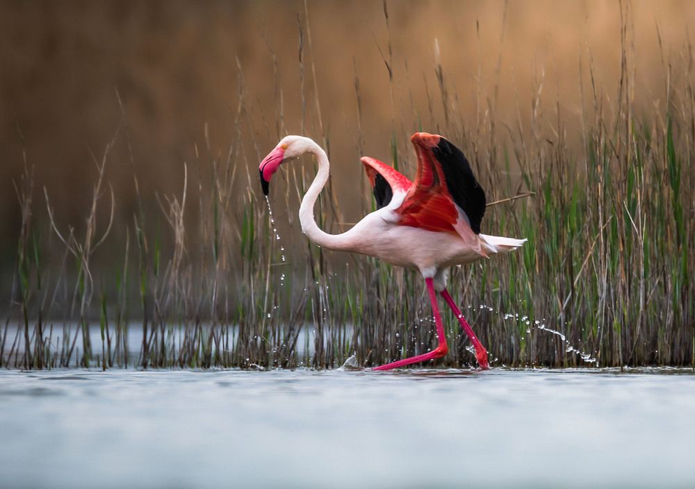 Фотография автора Максим Бессалый