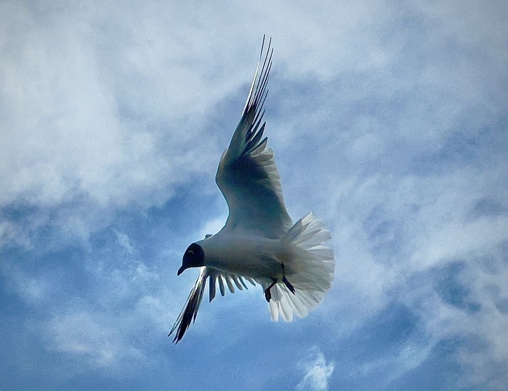 Photograph by Тимур Жилкибаев