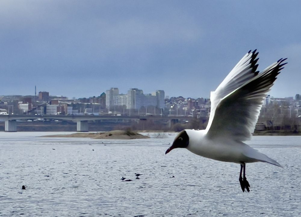 Photograph by Тимур Жилкибаев