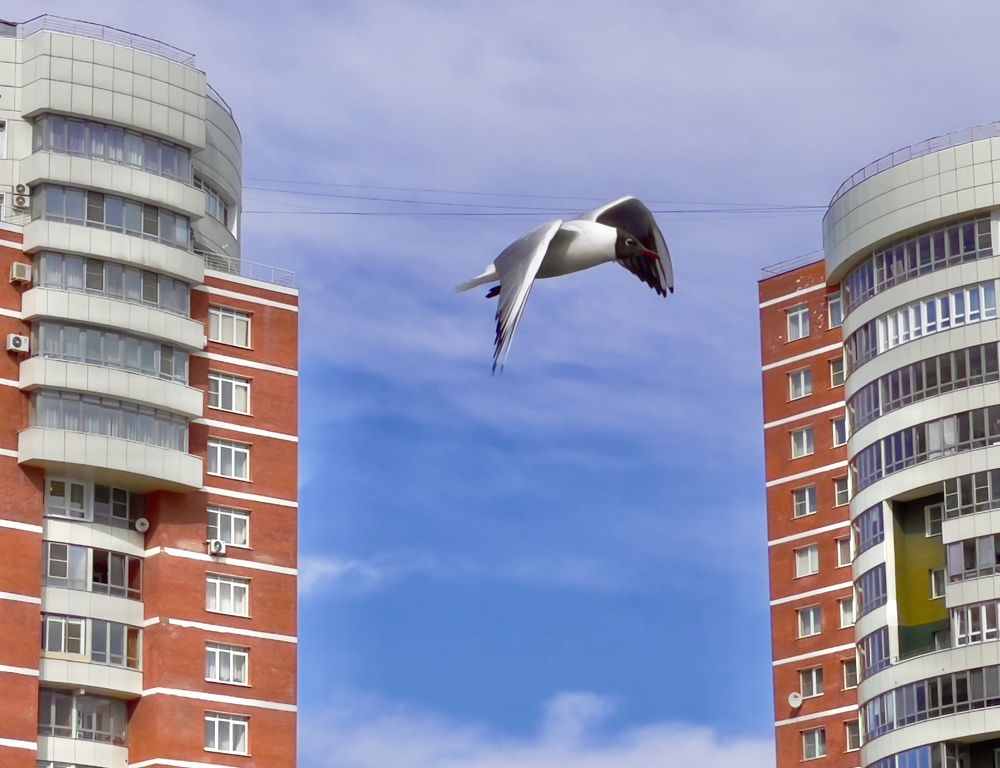 Photograph by Тимур Жилкибаев