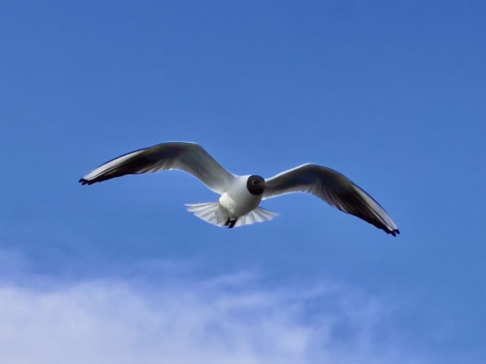 Photograph by Тимур Жилкибаев