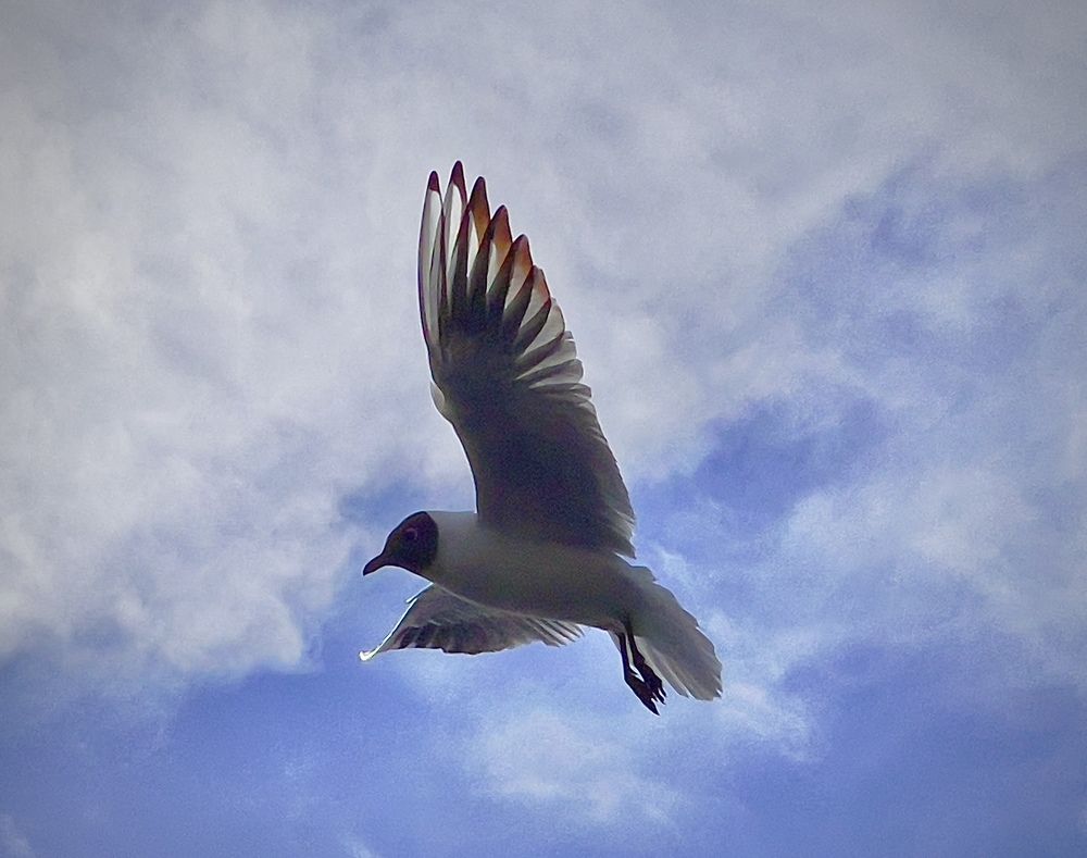 Photograph by Тимур Жилкибаев