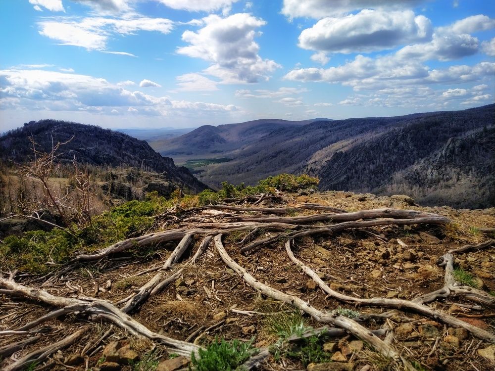 Photograph by Александр Гром