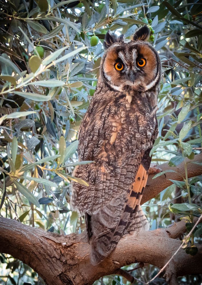 Photograph by Михаил Заброцкий