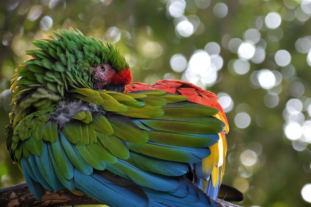 Photograph by Naga Bharath Vadla