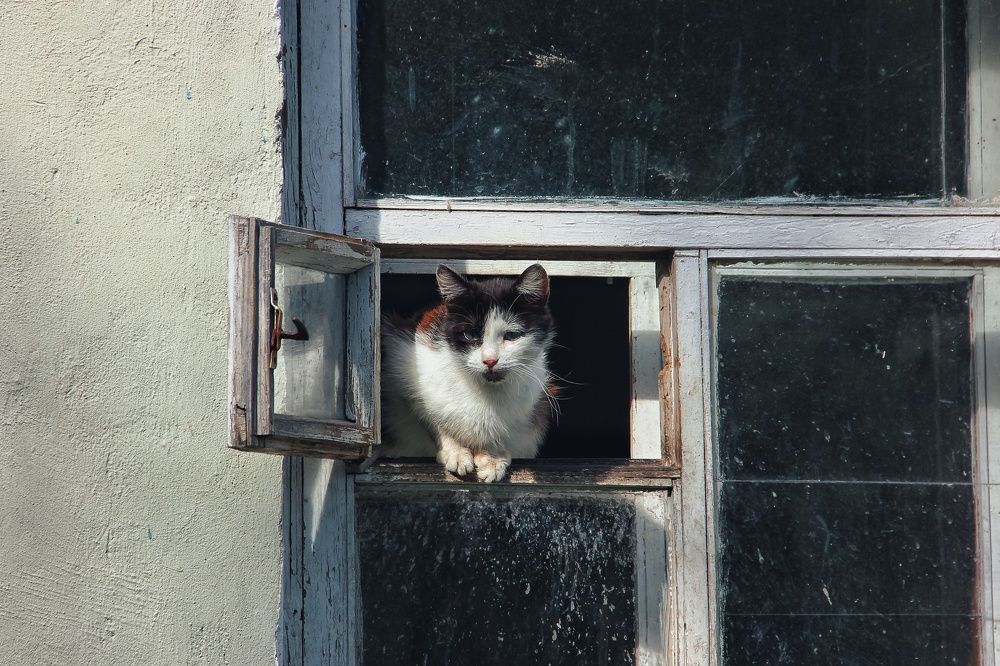 Photograph by Александр Волков