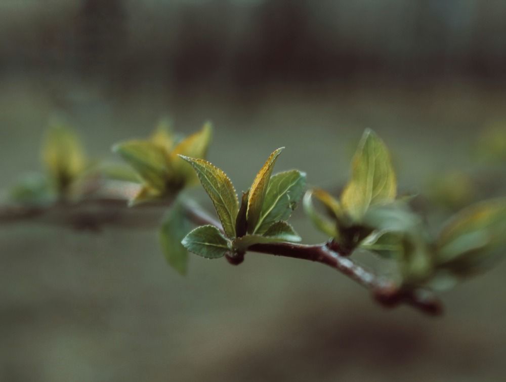 Photograph by Валентина Ильиных