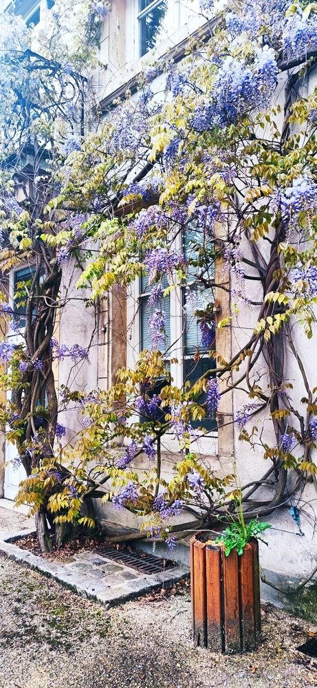 Photograph by Екатерина