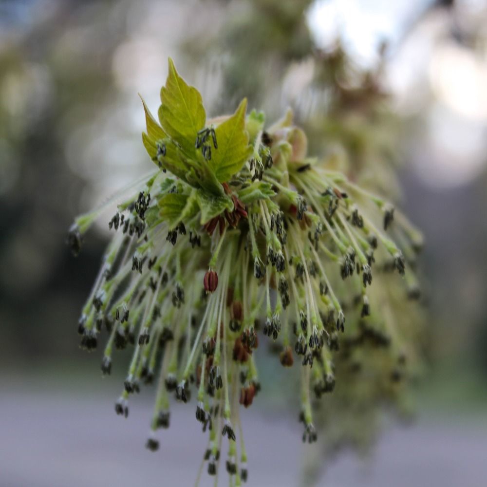 Photograph by Валентина Ильиных