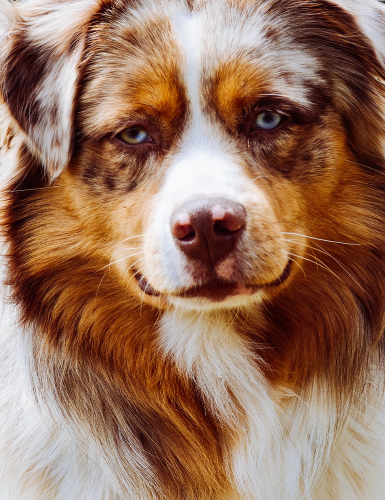 Photograph by Запылаева Анна