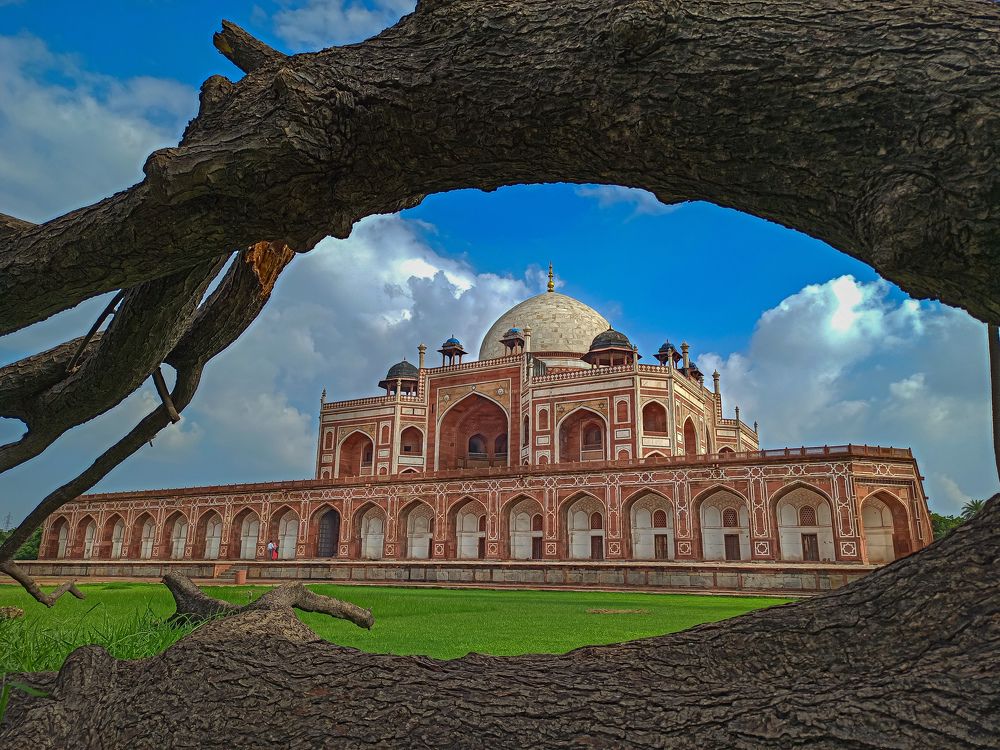 Photograph by Abhishek maurya