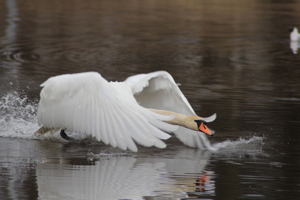 Photograph by Александр Заруцкий