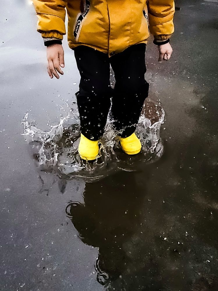 Photo #7540239