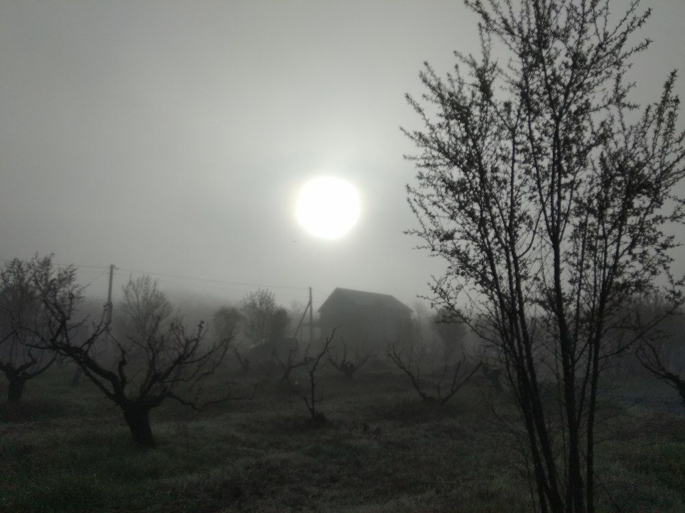 Photograph by Татьяна Ситникова