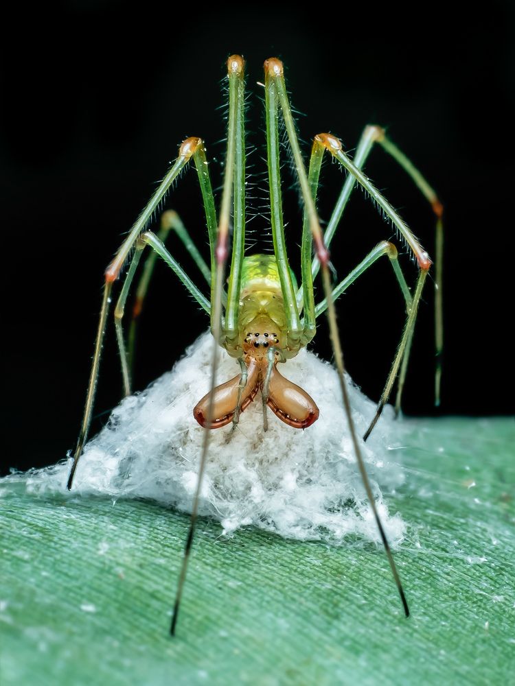 Photograph by Protik Chowdhury