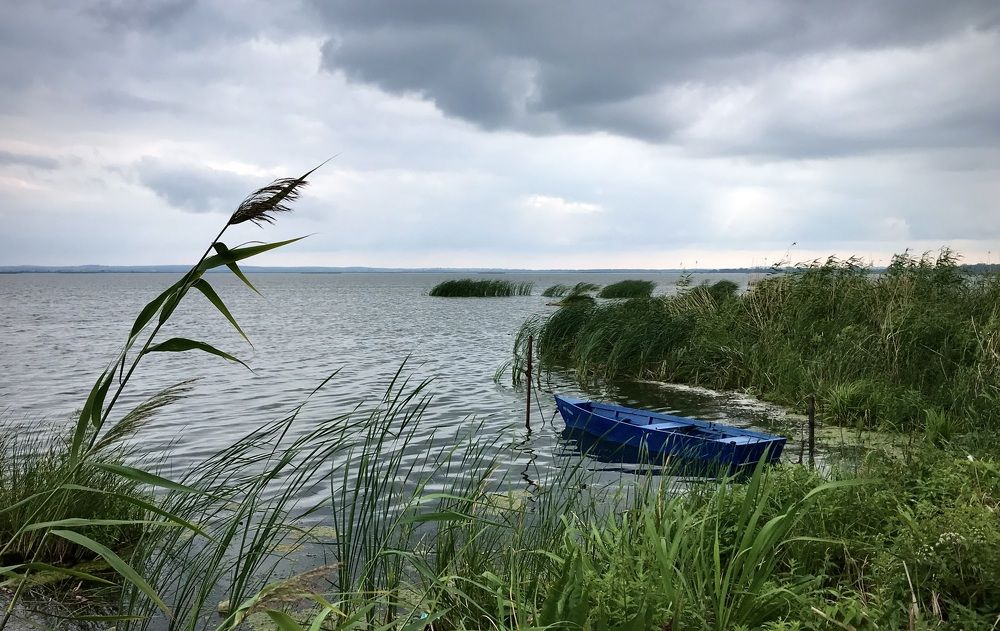 Photograph by Ирина Платонова