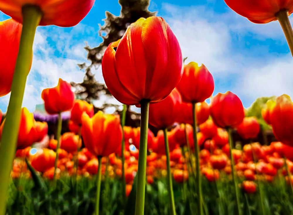 Photograph by DAMOUN POURNEMATI