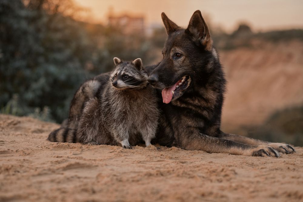 Photograph by Ирина Зайцева