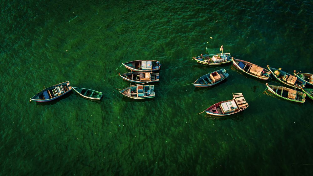 Фотография автора Adriano Anderson