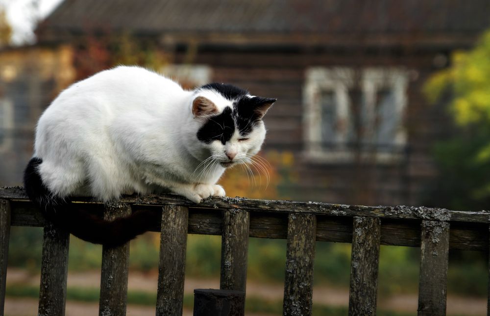 Photograph by Ольга Цветкова