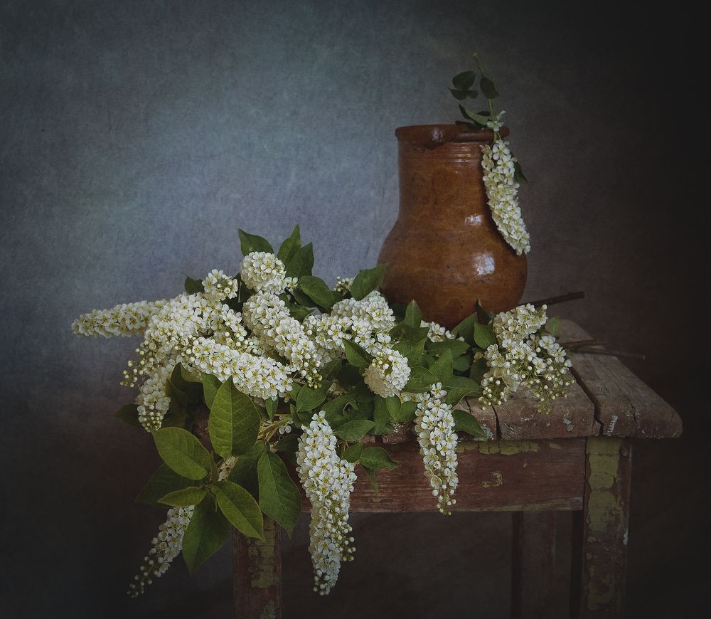 Черемухи букет